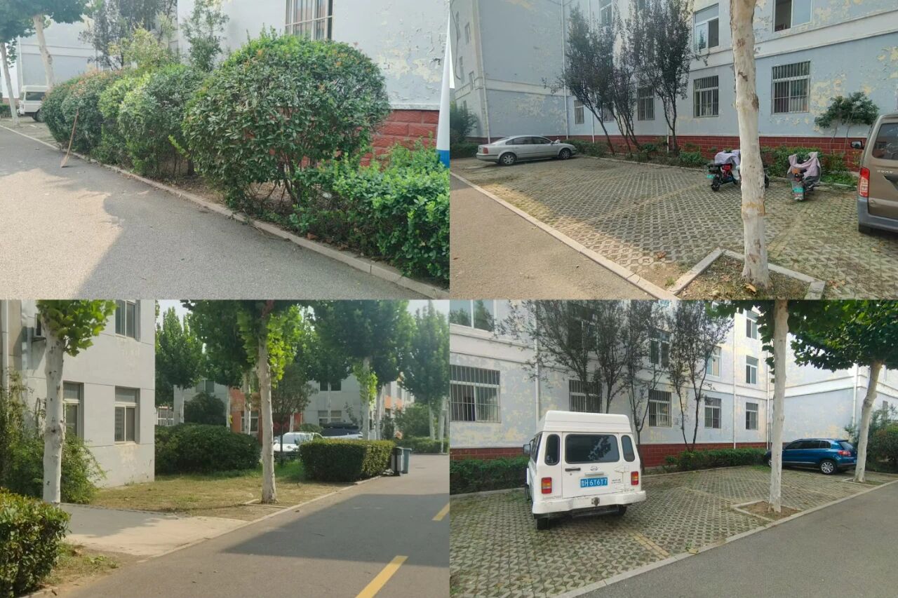 【魯南電商】共建美麗園區(qū)，我們在行動！1